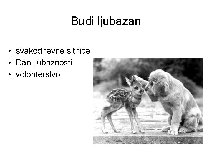 Budi ljubazan • svakodnevne sitnice • Dan ljubaznosti • volonterstvo 