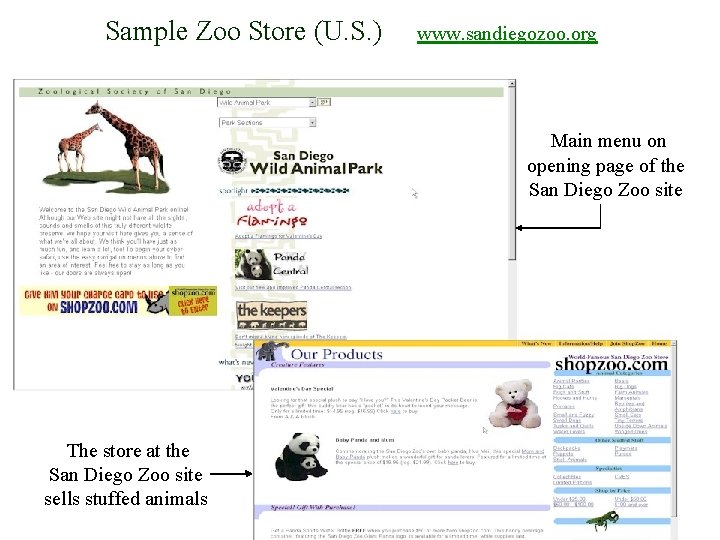 Sample Zoo Store (U. S. ) www. sandiegozoo. org Main menu on opening page
