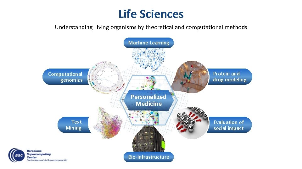 Life Sciences Understanding living organisms by theoretical and computational methods Machine Learning Protein and