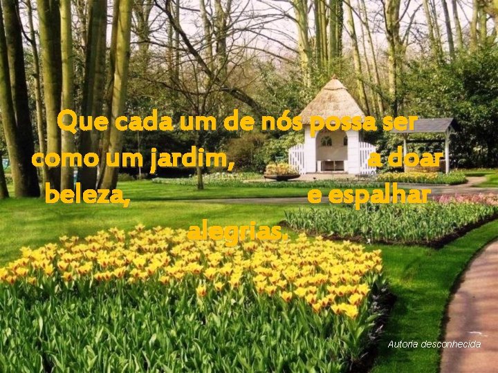 Que cada um de nós possa ser como um jardim, a doar beleza, e