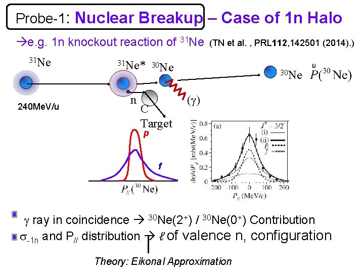 Probe-1: Nuclear Breakup – Case of 1 n Halo e. g. 1 n knockout