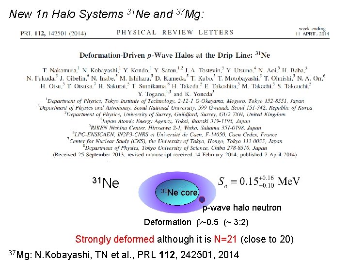 New 1 n Halo Systems 31 Ne and 37 Mg: 31 Ne 30 Ne