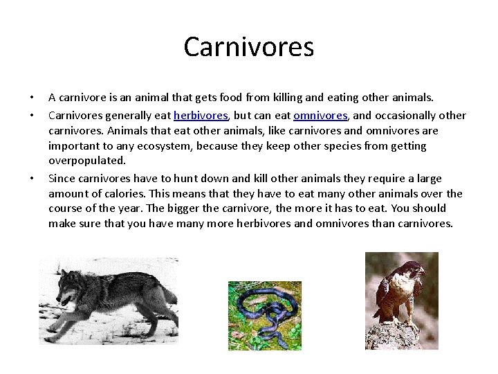 Carnivores • • • A carnivore is an animal that gets food from killing