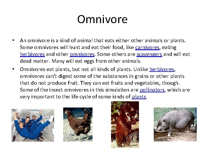 Omnivore • An omnivore is a kind of animal that eats either other animals