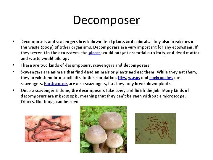 Decomposer • • Decomposers and scavengers break down dead plants and animals. They also