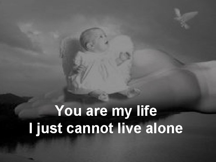 You are my life I just cannot live alone 