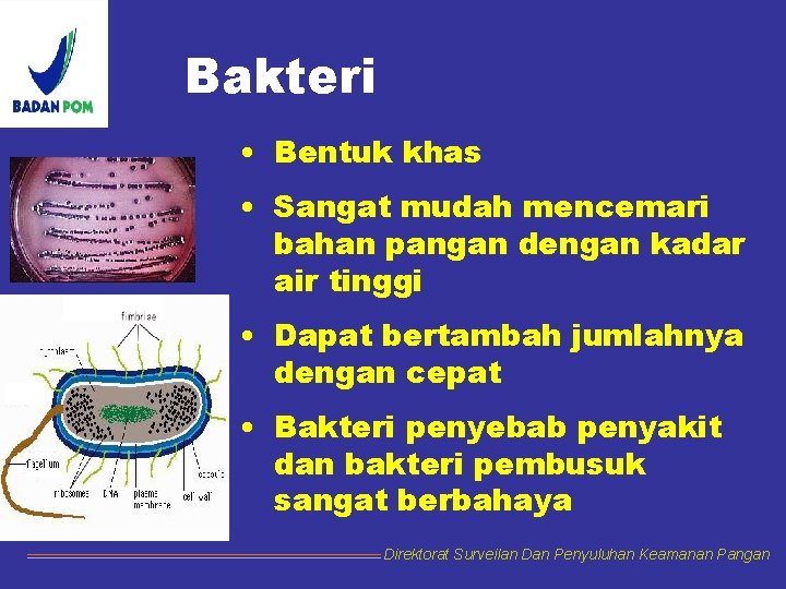 Bakteri • Bentuk khas • Sangat mudah mencemari bahan pangan dengan kadar air tinggi