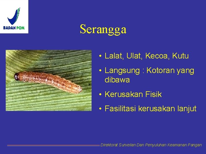 Serangga • Lalat, Ulat, Kecoa, Kutu • Langsung : Kotoran yang dibawa • Kerusakan