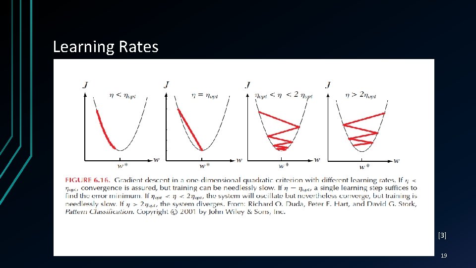 Learning Rates [3] 19 