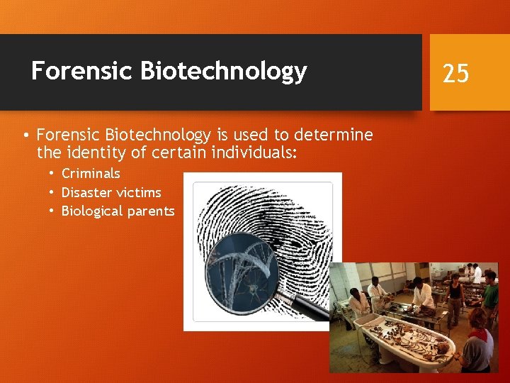 Forensic Biotechnology • Forensic Biotechnology is used to determine the identity of certain individuals: