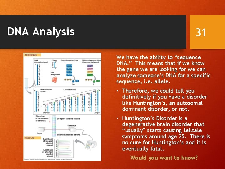 DNA Analysis 31 We have the ability to “sequence DNA. ” This means that