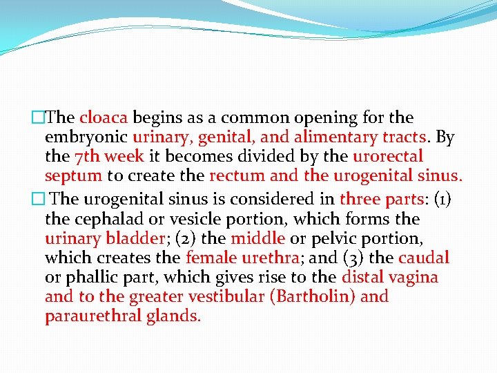 �The cloaca begins as a common opening for the embryonic urinary, genital, and alimentary