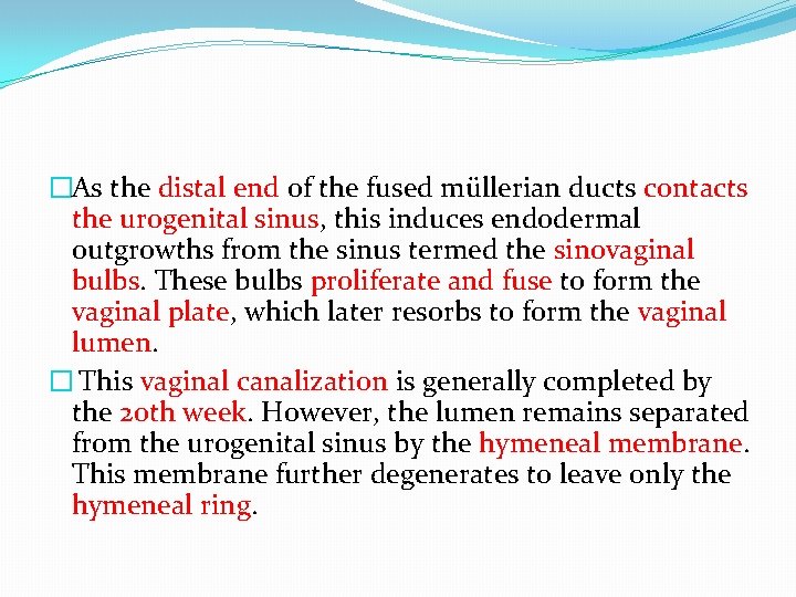 �As the distal end of the fused müllerian ducts contacts the urogenital sinus, this