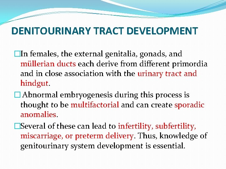 DENITOURINARY TRACT DEVELOPMENT �In females, the external genitalia, gonads, and müllerian ducts each derive