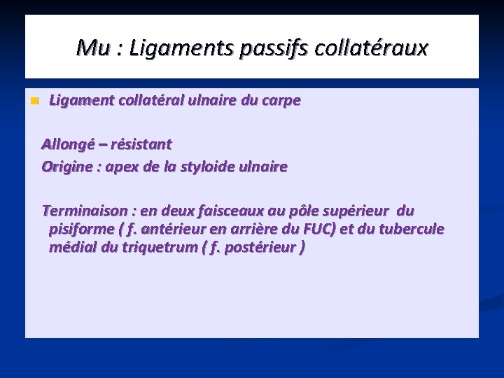 Mu : Ligaments passifs collatéraux n Ligament collatéral ulnaire du carpe Allongé – résistant