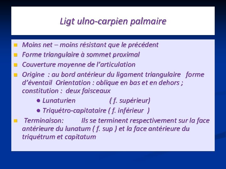 Ligt ulno-carpien palmaire n n n Moins net – moins résistant que le précédent