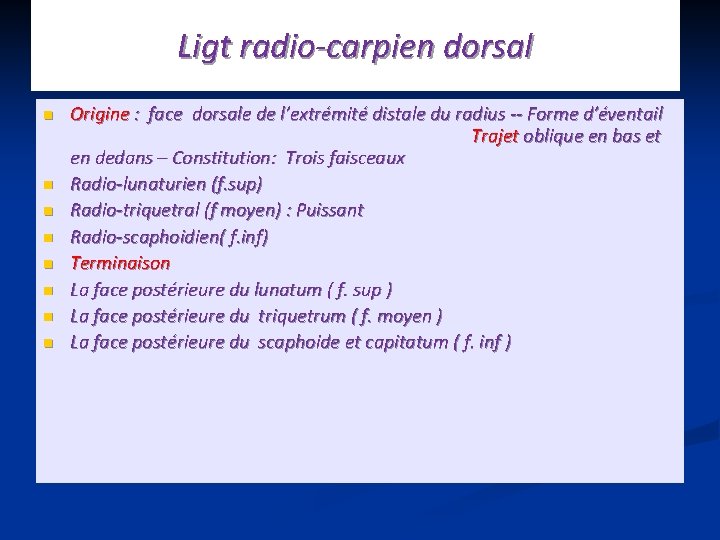 Ligt radio-carpien dorsal n n n n Origine : face dorsale de l’extrémité distale