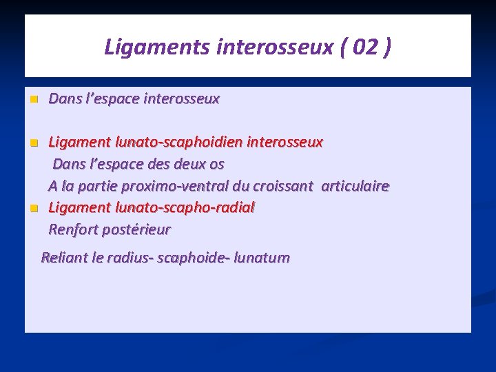 Ligaments interosseux ( 02 ) n Dans l’espace interosseux Ligament lunato-scaphoidien interosseux Dans l’espace
