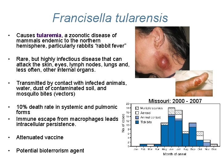 Francisella tularensis • Causes tularemia, a zoonotic disease of mammals endemic to the northern