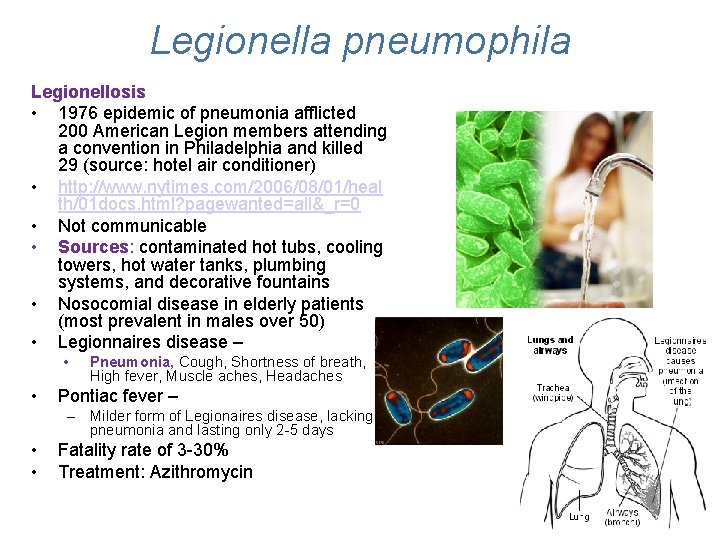 Legionella pneumophila Legionellosis • 1976 epidemic of pneumonia afflicted 200 American Legion members attending