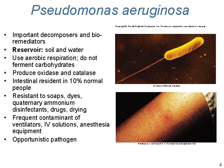 Pseudomonas aeruginosa Copyright © The Mc. Graw-Hill Companies, Inc. Permission required for reproduction or