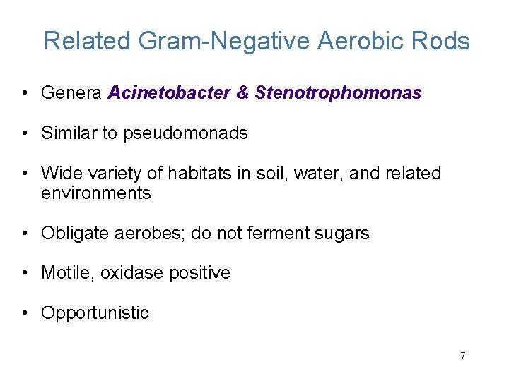 Related Gram-Negative Aerobic Rods • Genera Acinetobacter & Stenotrophomonas • Similar to pseudomonads •