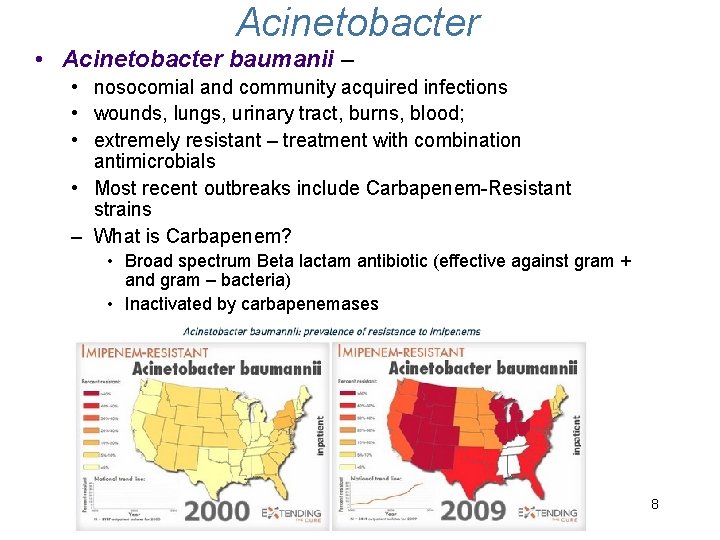 Acinetobacter • Acinetobacter baumanii – • nosocomial and community acquired infections • wounds, lungs, Acinetobacter • Acinetobacter baumanii – • nosocomial and community acquired infections • wounds, lungs,
