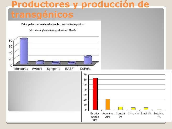 Productores y producción de transgénicos 