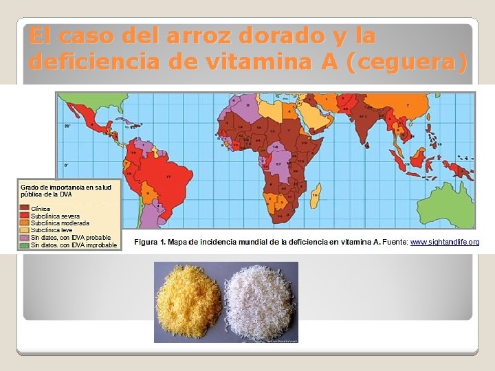El caso del arroz dorado y la deficiencia de vitamina A (ceguera) 