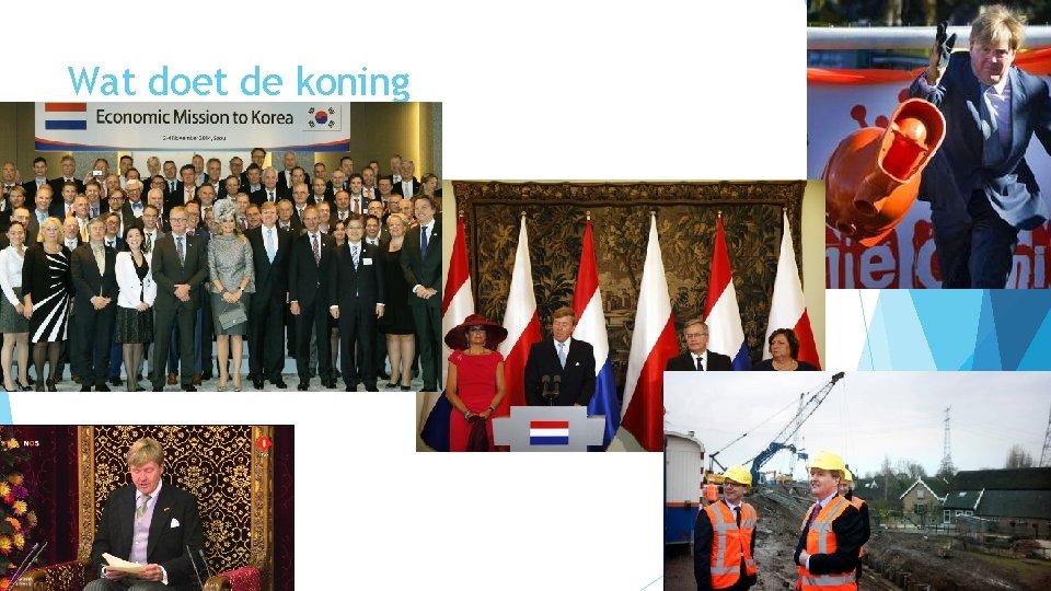 Wat doet de koning 