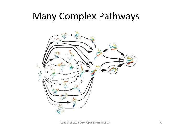 Many Complex Pathways Lane et al. 2013 Curr. Opin. Struct. Biol. 23 5 