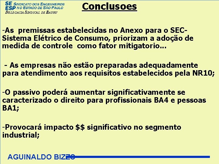 DELEGACIA SINDICAL DE BAURU Conclusoes -As premissas estabelecidas no Anexo para o SECSistema Elétrico