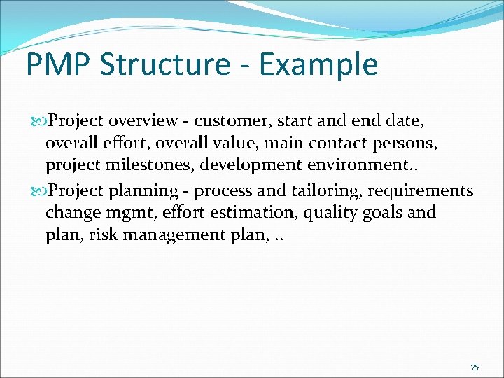 PMP Structure - Example Project overview - customer, start and end date, overall effort,