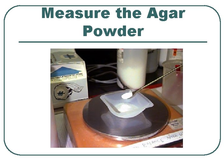 Measure the Agar Powder 