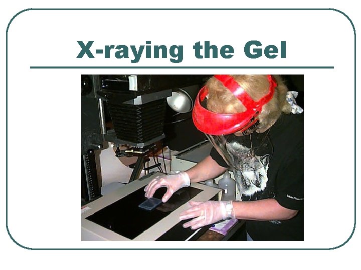 X-raying the Gel 