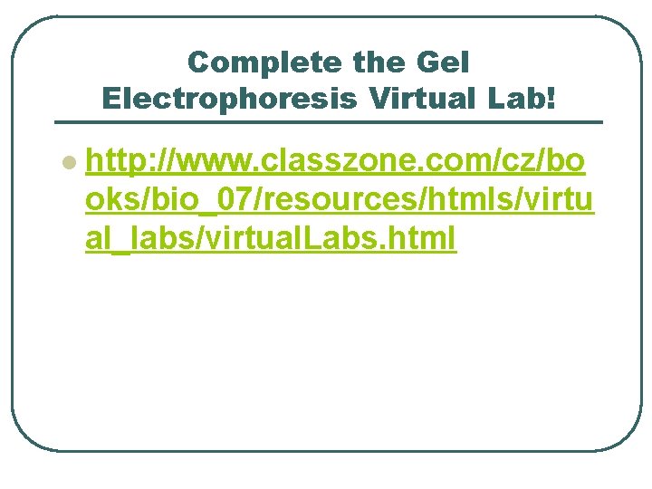 Complete the Gel Electrophoresis Virtual Lab! l http: //www. classzone. com/cz/bo oks/bio_07/resources/htmls/virtu al_labs/virtual. Labs.