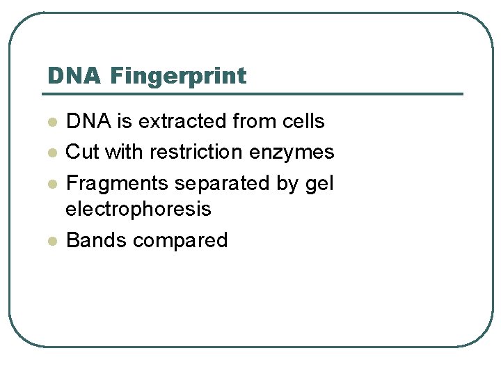 DNA Fingerprint l l DNA is extracted from cells Cut with restriction enzymes Fragments