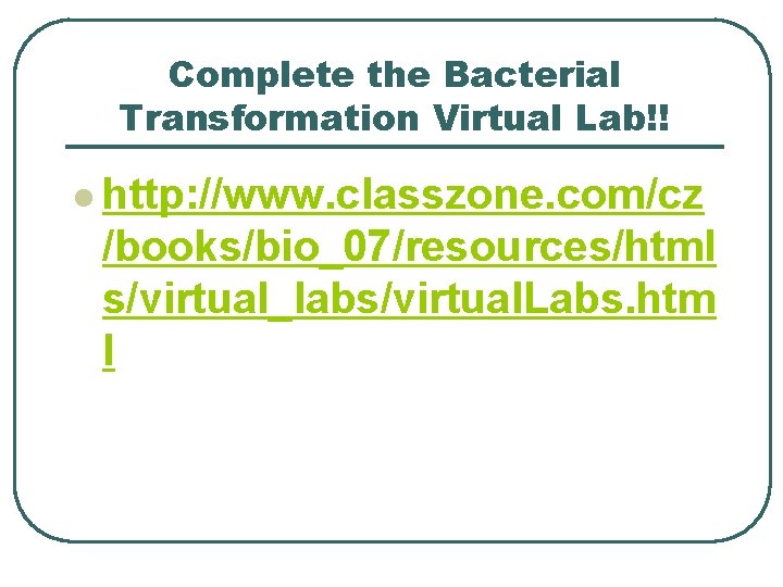 Complete the Bacterial Transformation Virtual Lab!! l http: //www. classzone. com/cz /books/bio_07/resources/html s/virtual_labs/virtual. Labs.