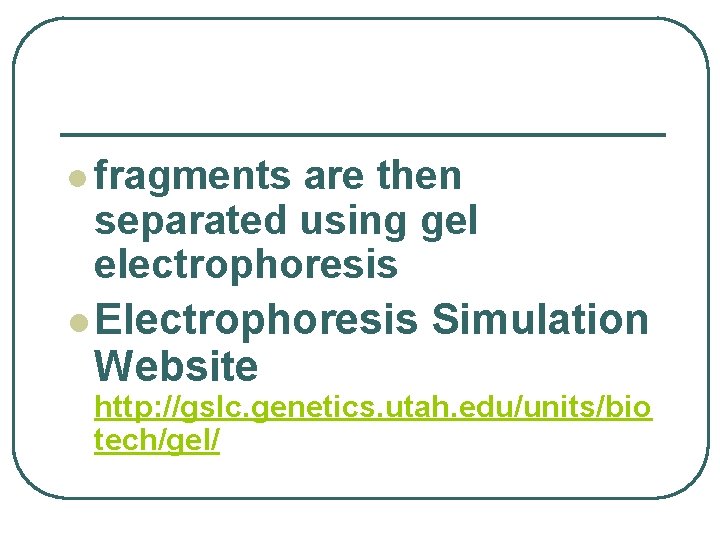 l fragments are then separated using gel electrophoresis l Electrophoresis Simulation Website http: //gslc.