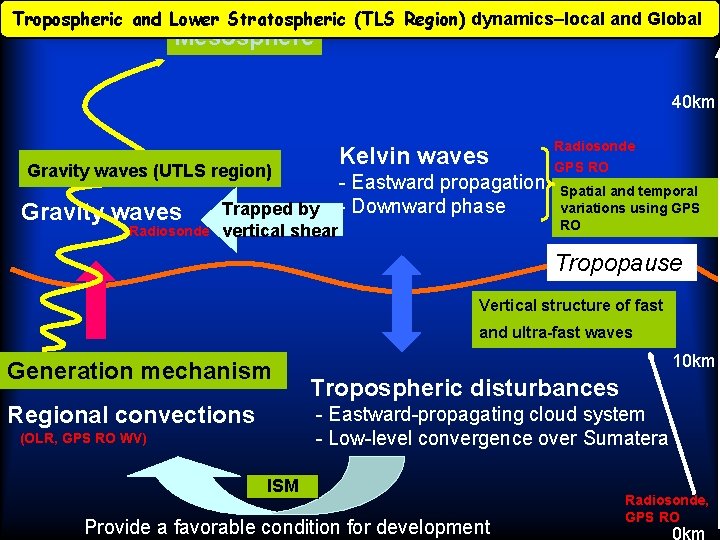 Tropospheric and Lower Stratospheric (TLS Region) dynamics–local and Global Mesosphere 40 km Kelvin waves