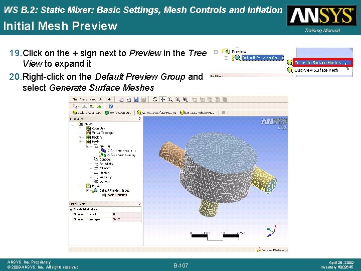 WS B. 2: Static Mixer: Basic Settings, Mesh Controls and Inflation Initial Mesh Preview