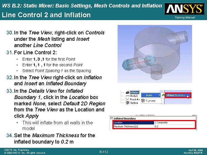 WS B. 2: Static Mixer: Basic Settings, Mesh Controls and Inflation Line Control 2