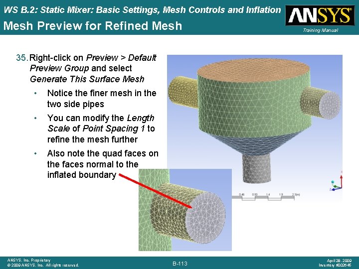 WS B. 2: Static Mixer: Basic Settings, Mesh Controls and Inflation Mesh Preview for