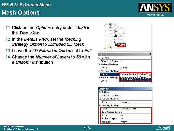 WS B. 3: Extruded Mesh Options Training Manual 11. Click on the Options entry