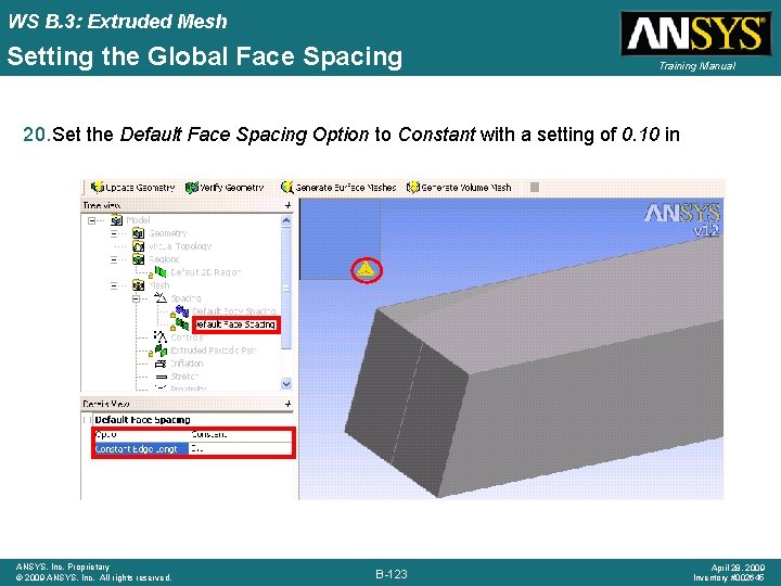 WS B. 3: Extruded Mesh Setting the Global Face Spacing Training Manual 20. Set