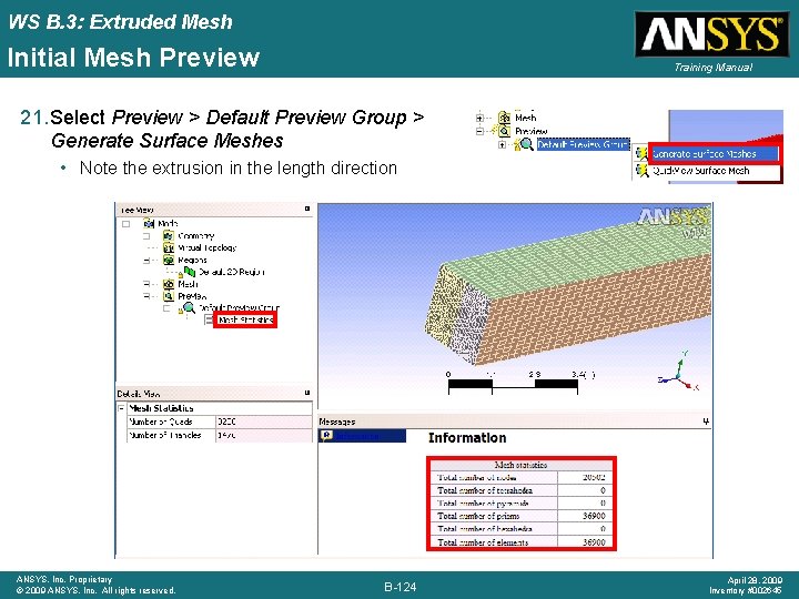 WS B. 3: Extruded Mesh Initial Mesh Preview Training Manual 21. Select Preview >