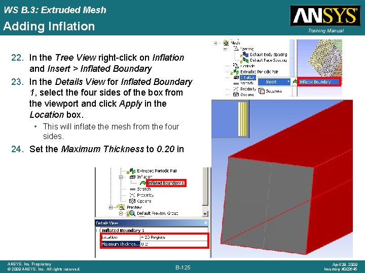 WS B. 3: Extruded Mesh Adding Inflation Training Manual 22. In the Tree View