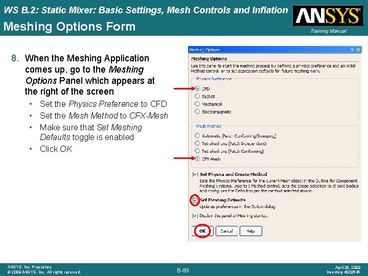 WS B. 2: Static Mixer: Basic Settings, Mesh Controls and Inflation Meshing Options Form