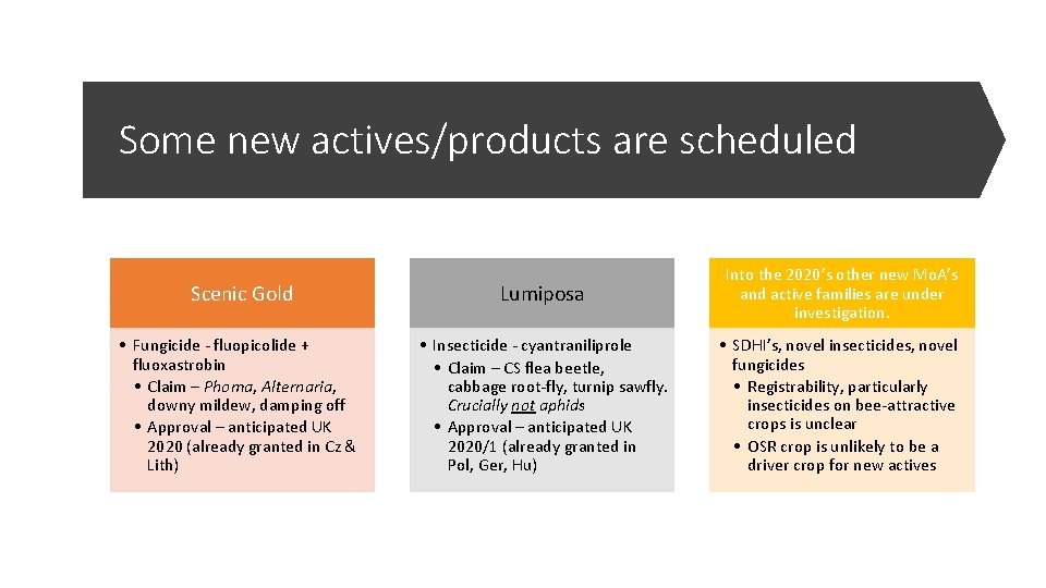 Some new actives/products are scheduled Scenic Gold Lumiposa Into the 2020’s other new Mo.