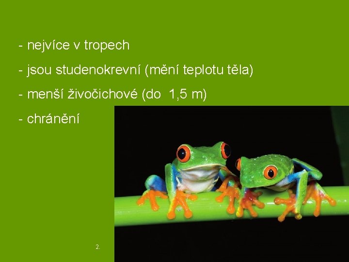 - nejvíce v tropech - jsou studenokrevní (mění teplotu těla) - menší živočichové (do